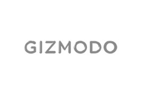 Gizmodo flynx review